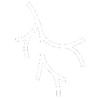 White line art icon showing a branching microvascular blood vessel network to represent clinical microcirculation perfusion tracking