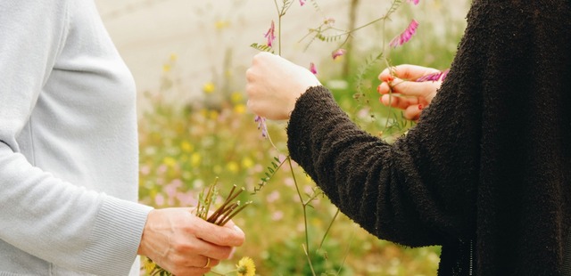 female-herbal-medicine-practitioner-showing-female-patient-vibrant-wildflowers-in-a-sunny-field Close-up of hands harvesting wild botanical plants and flowers in a meadow to represent natural pharmacology and conditions treated with herbal medicine