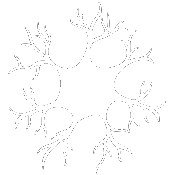 White vector icon of a multipolar neuron cell body branching into dendrites to represent nervous system pain signaling downregulation