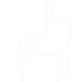 A white, fine-line minimalist icon of the human digestive system, showing the stomach, duodenum, and intestinal tracts outlined in a clean, modern medical style against a transparent canvas background.
