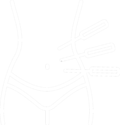 A white, fine-line minimalist icon of the human abdomen, highlighting stylized acupuncture meridian path lines and symmetrical point coordinates around a central umbilical circle against a transparent canvas background.